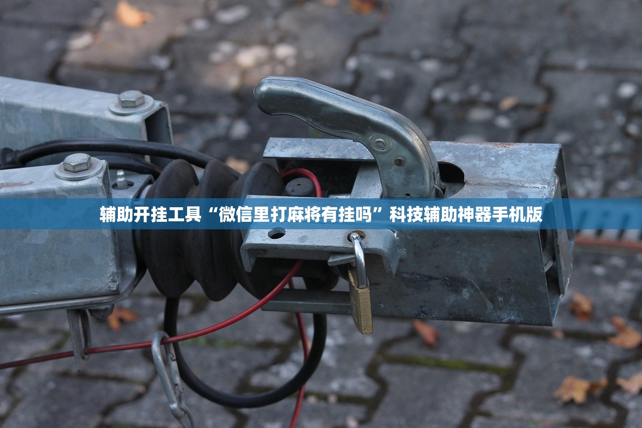 辅助开挂工具“微信里打麻将有挂吗”科技辅助神器手机版