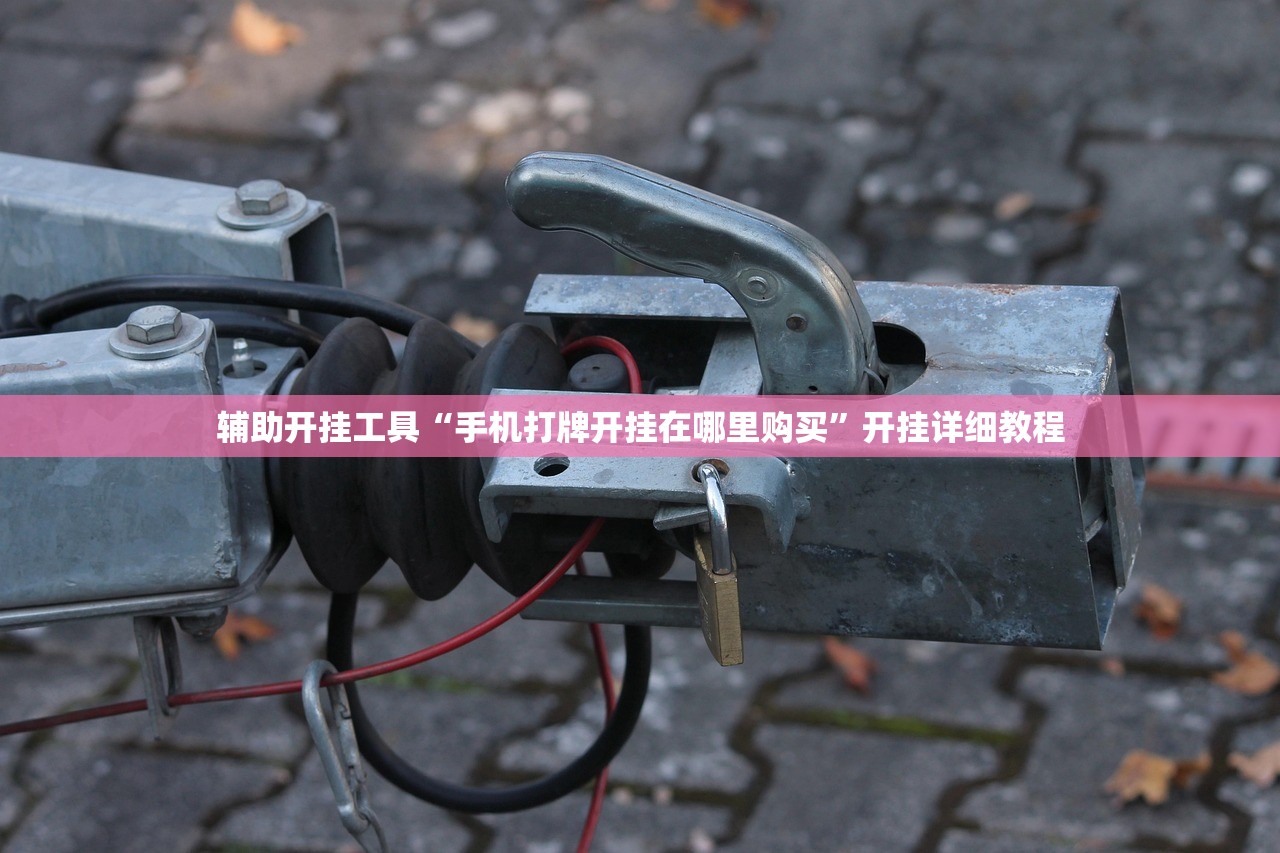 辅助开挂工具“手机打牌开挂在哪里购买”开挂详细教程