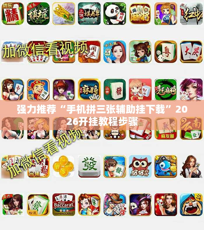 强力推荐“手机拼三张辅助挂下载”2026开挂教程步骤