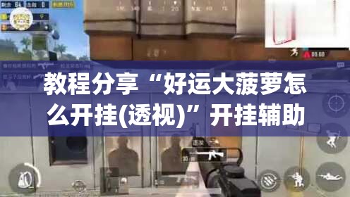 教程分享“好运大菠萝怎么开挂(透视)	”开挂辅助脚本+详细开挂安装教程