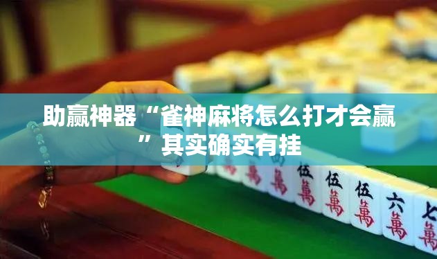 助赢神器“雀神麻将怎么打才会赢”其实确实有挂