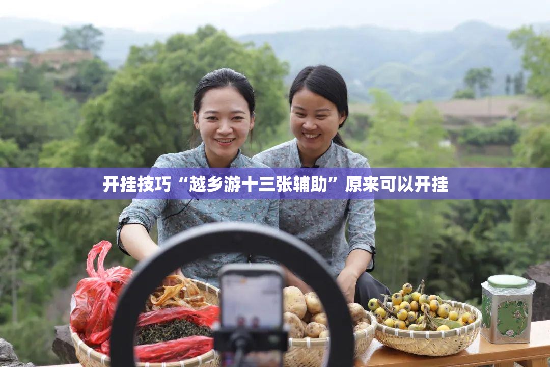 开挂技巧“越乡游十三张辅助”原来可以开挂