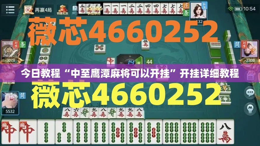 今日教程“中至鹰潭麻将可以开挂”开挂详细教程