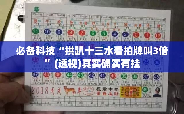 必备科技“拱趴十三水看拍牌叫3倍”(透视)其实确实有挂