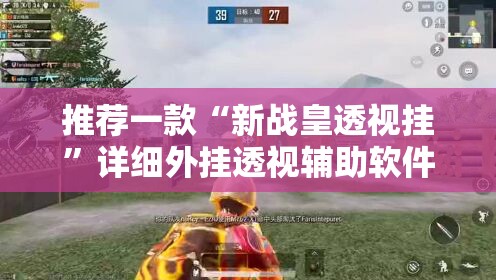 推荐一款“新战皇透视挂”详细外挂透视辅助软件教程