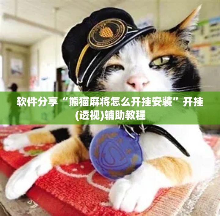 软件分享“熊猫麻将怎么开挂安装	”开挂(透视)辅助教程