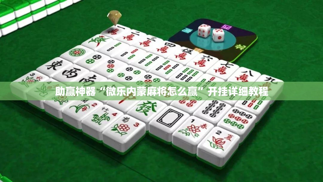 助赢神器“微乐内蒙麻将怎么赢”开挂详细教程
