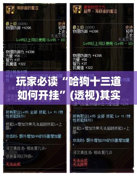 玩家必读“哈狗十三道如何开挂”(透视)其实确实有挂